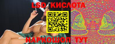 гидра Дубна