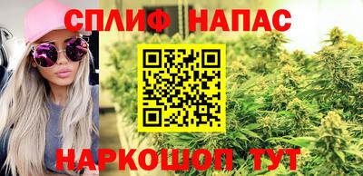 гидра Дубна