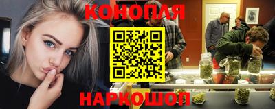 гидра Дубна