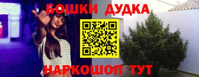 индика Донецк