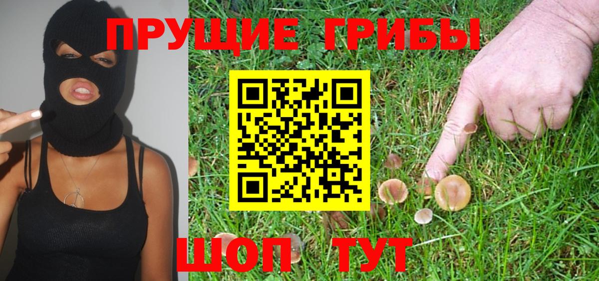 Краснокамск  где найти   Вход с VPN  Галлюциногенные грибы Cubensis  Псилоцибиновые грибы прущие грибы 